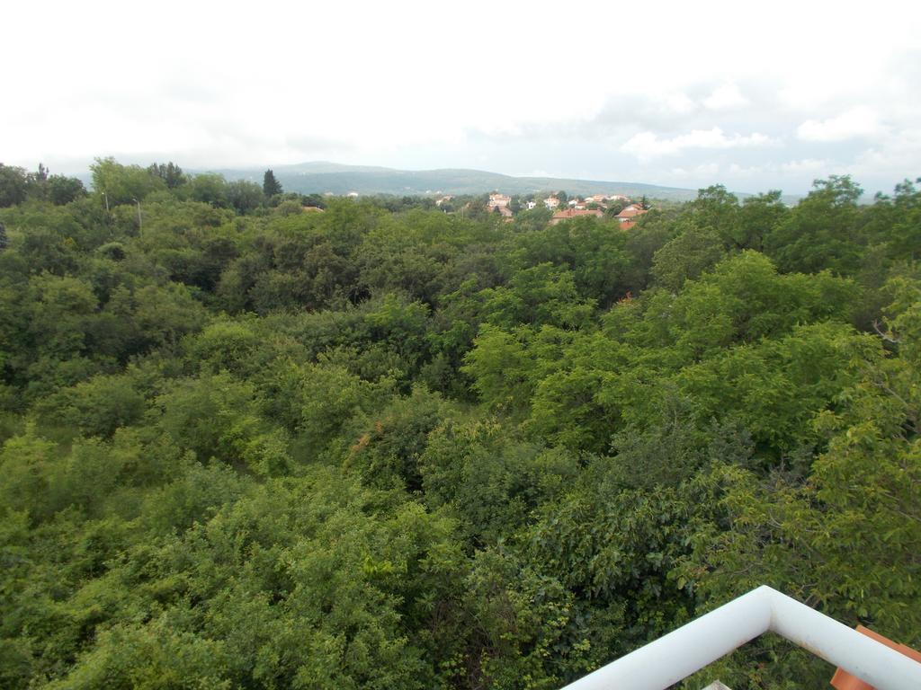 Apartments Sara Labin  Cameră foto